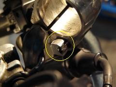 ばっちり! ばっちり!