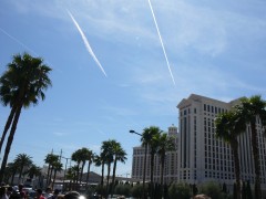 拡大すると4本以上あるのだ 拡大すると4本以上あるのだ