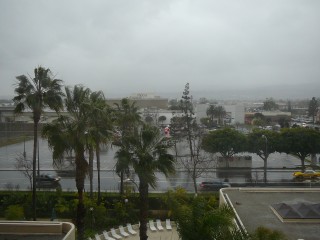 土砂降り。。。(´-ω-`) 土砂降り。。。(´-ω-`)