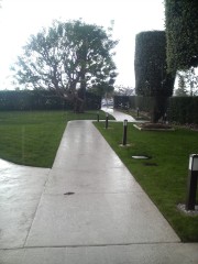 降ったり止んだり。スコールみたい 降ったり止んだり。スコールみたい