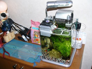 サイバー水槽www サイバー水槽www