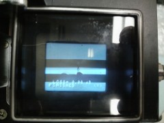 SMで成功♪ SMで成功♪