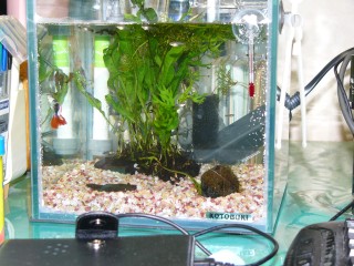 おいらのデスクトップ! おいらのデスクトップ!