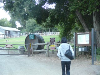 wktkしてたのだが残念 wktkしてたのだが残念