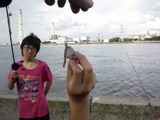 何故アサリw 何故アサリw