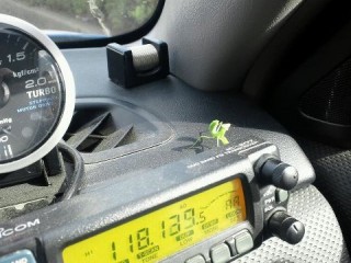 ファイッ! ファイッ!