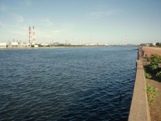 養老川河口も人いない 養老川河口も人いない