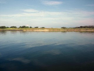 既に明るいしｗ