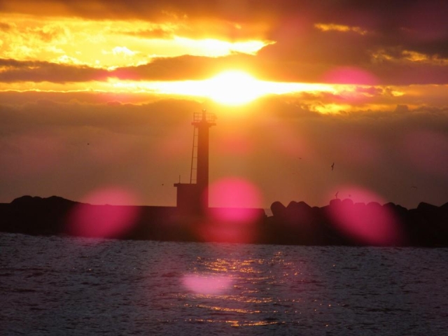 デタ━━━゚(∀)゚━━━!! デタ━━━゚(∀)゚━━━!!