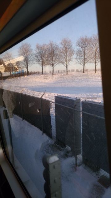 雪じゃw 雪じゃw