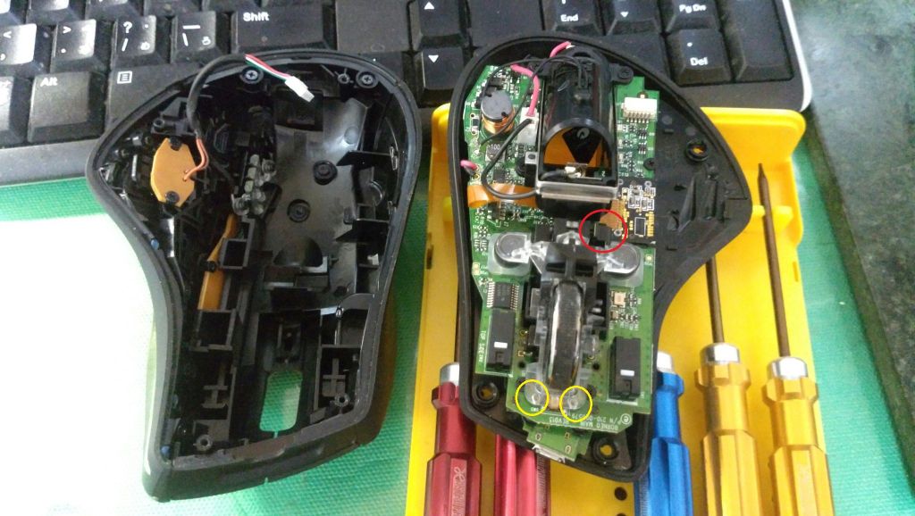 ぱかっ! ぱかっ!