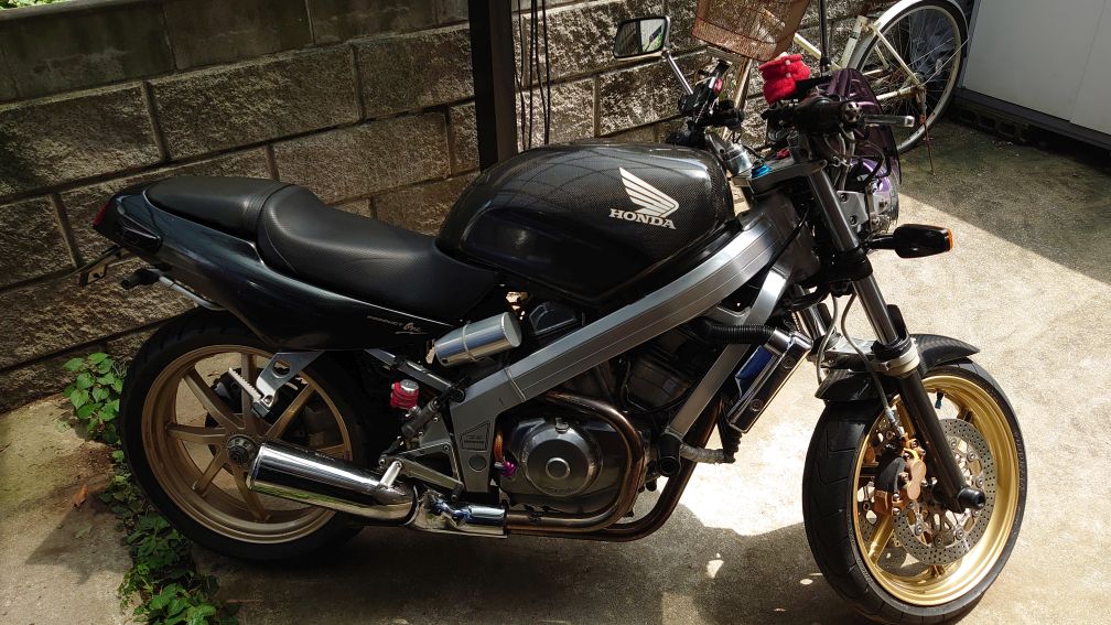 ドノーマルw ドノーマルw