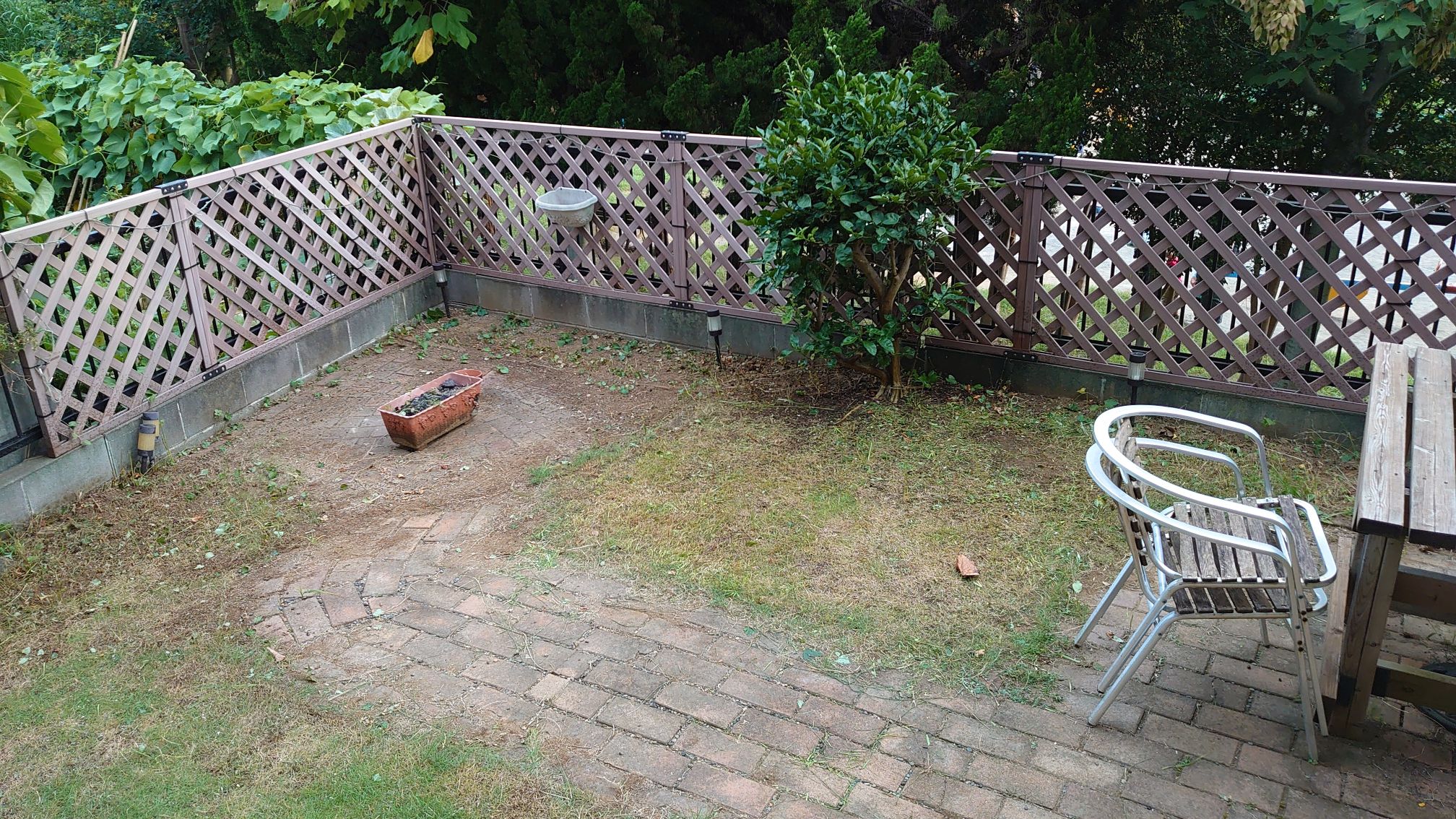 スッキリ スッキリ