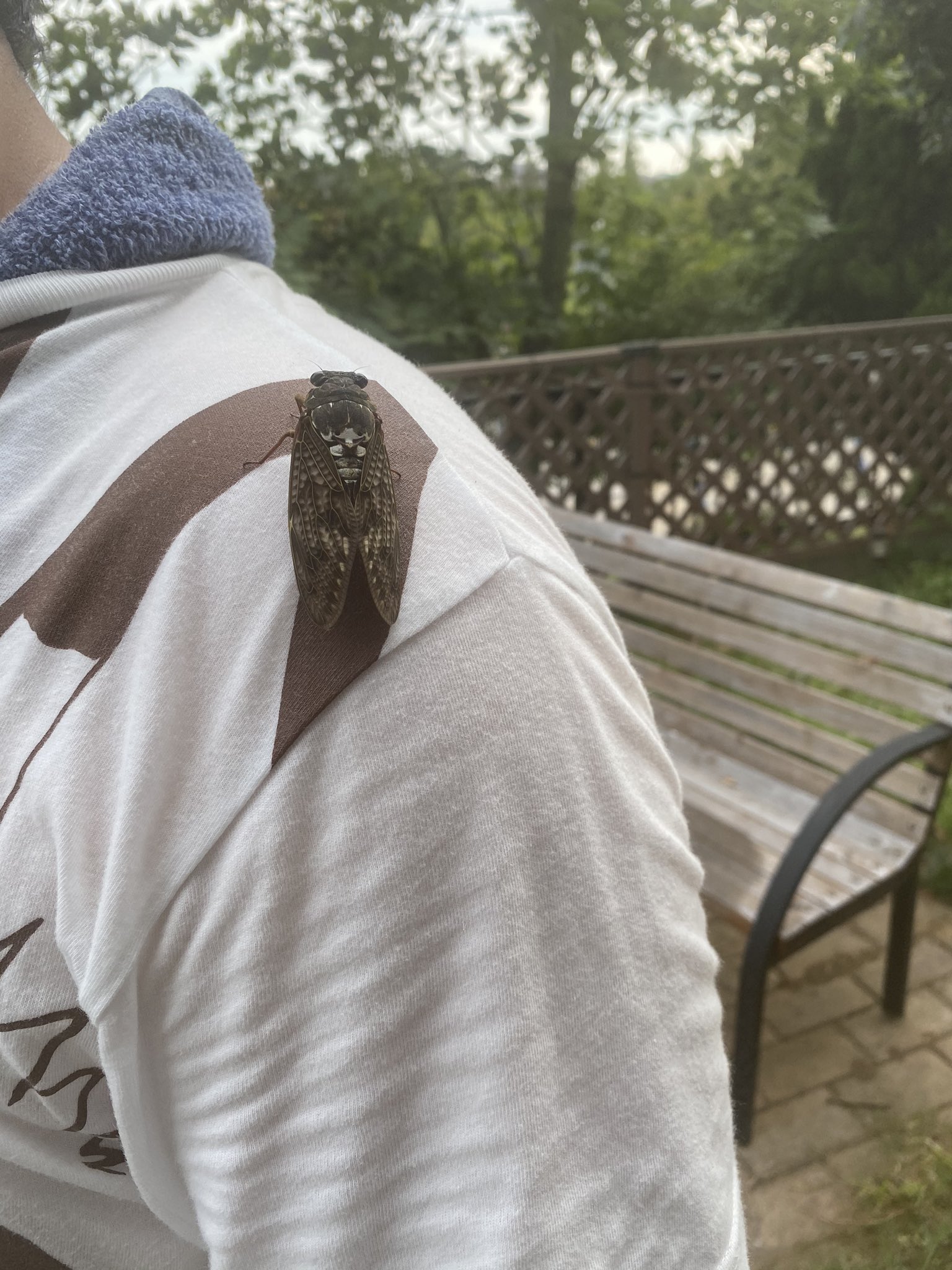 枝も地面もスッキリ 枝も地面もスッキリ