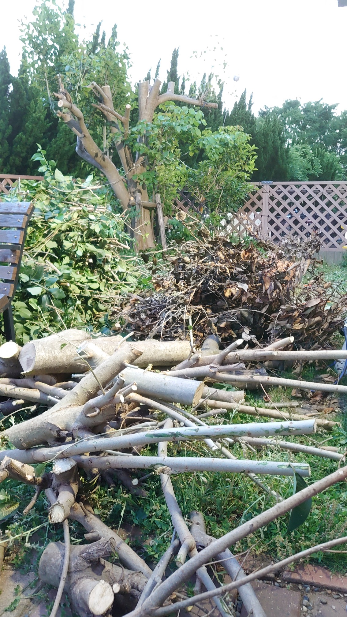 後始末ェ 後始末ェ