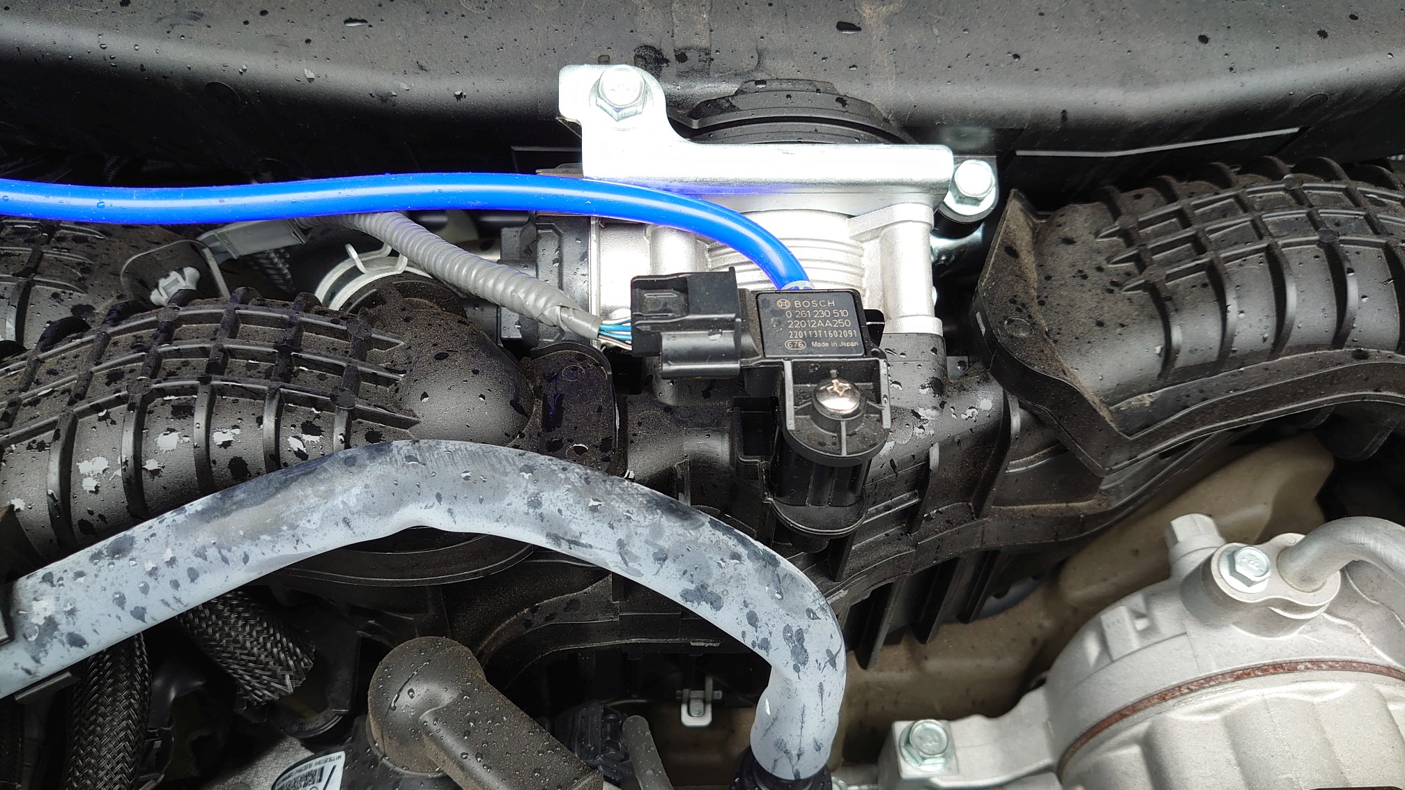 ばっちり ばっちり