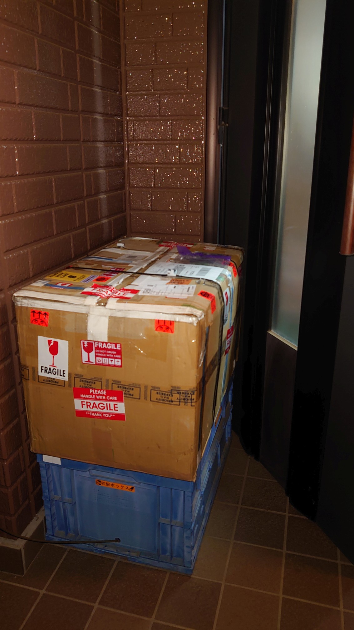 本当に置いてった! 本当に置いてった!